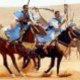 sahraoui95