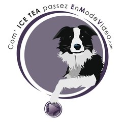 En Mode Video.com (TD Production)