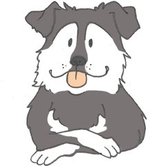 spamdog