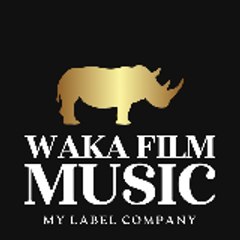 WAKA FILM INTERNATIONAL
