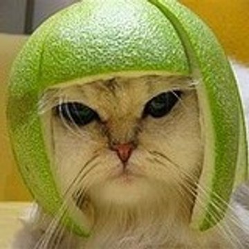 frednareff
