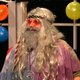 The Bob Show
