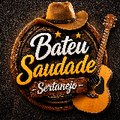 Bateu Saudade Sertanejo