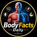 The Human Body Lab