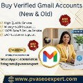 pvaseoexpert53