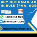 10 Steps To Buy Old Gmail Accounts In Bulk PVA