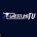 Wrestling TV