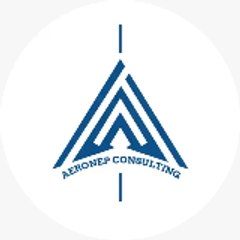 Aeronep Consulting Services