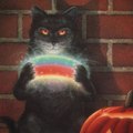 FunnyCatMoments