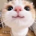 Try to laugh