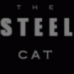 TheSteelCat