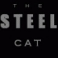 TheSteelCat