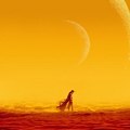 Nova.Movies