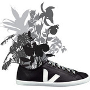 veja-sneakers