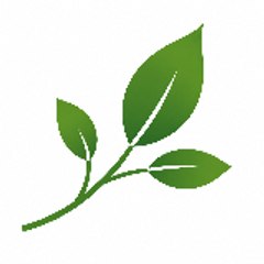Desi Herbal