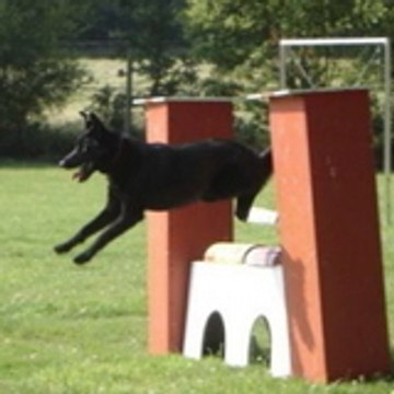 nala29