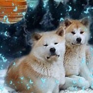 MARTINE BOSZKO MIKO-ENZO-DAIKOO-E'KENZO-ICHIKO GO