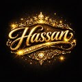 hassasjp486