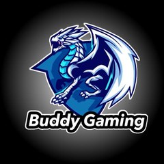 Buddy Fun Gaming