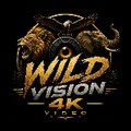 Wild Vision 4k Video