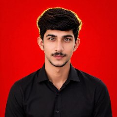 Ali Raza