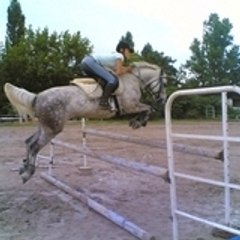 jubouille