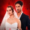 Ligados Pela Honra ( ReelShort )