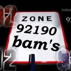 bamss92190i