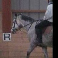 ronval renée térése