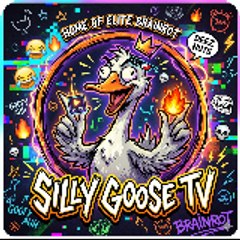 Silly Gooose TV