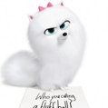 CuteCats