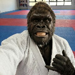 Gorila Jitsu