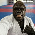 Gorila Jitsu