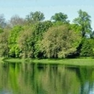 Seine et Foret