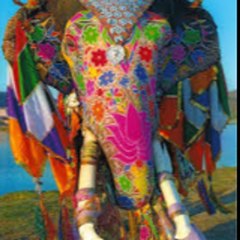 Indiatonic