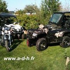 elssaser quadler