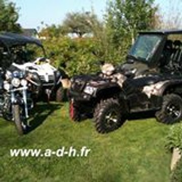 elssaser quadler