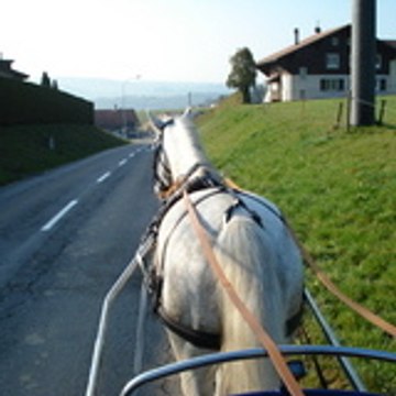 Alain