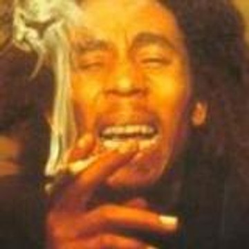 hafiane mohamed sadok