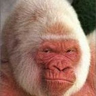 Sébastien G. & Gery L.