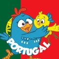 Galinha Colorida Canal Fan Made