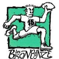 bisonquinze