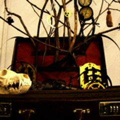 Kimberly Lauren Takemura