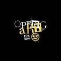 Opengart studio