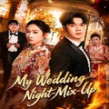 My Wedding Night Mix-Up