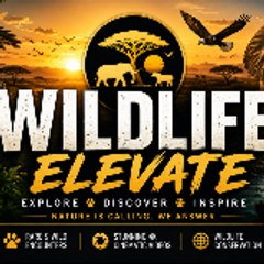 Wildlife-Elevate