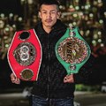 Boxing Fights 123