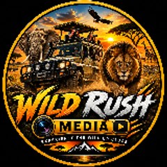 Wild Rush Media