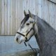 Coralie