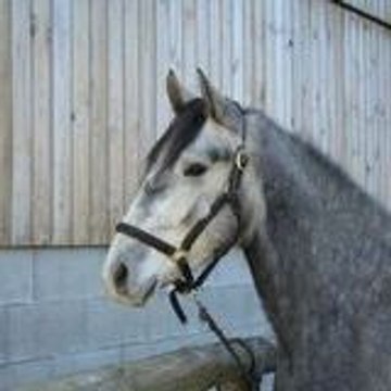 Coralie